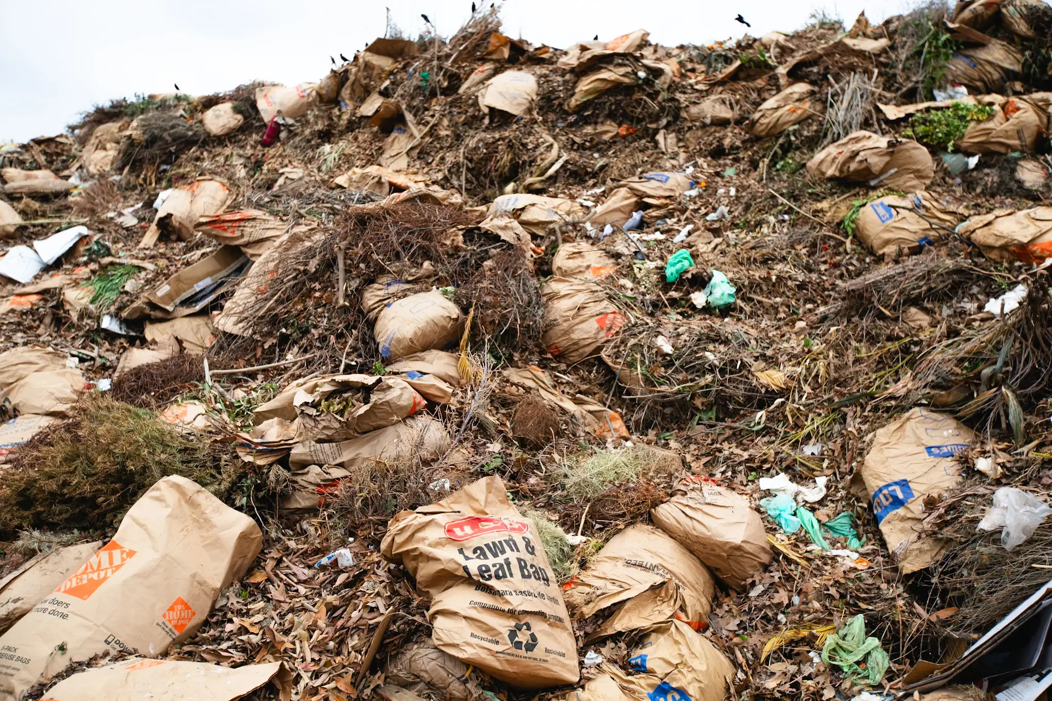 Reporting dashboard and analytics